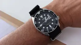 14324153_10210619475512318_7099339646020321406_o.webp