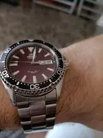 16735320913057948845320496699606.webp