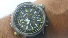 Citizen Altichron.webp