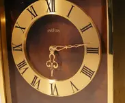 DSCF9954.webp DSCF9954.webp