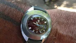 P1210226.webp