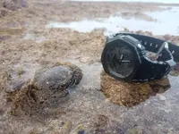 amphibian G-shock-2.webp