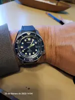 seiko mm.webp