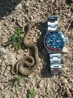 Mako-vs Snake.webp