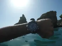 12472498_10154355228004919_6697420576476587984_n.webp