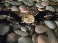 omega6.webp