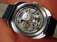 007 (Large).webp 007 (Large).webp
