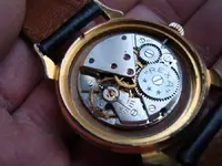5 (Large).webp