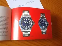 Tudor 4.webp