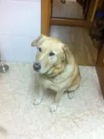 aSZVl8ny4_XdwkGhx1O2TAN6SuYwNjCfiWdcOZUrQA8.webp