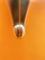 cross century_2.webp