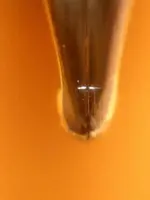 waterman le man_1.webp