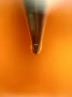 waterman le man_2.webp