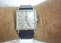 P1070008.webp