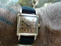 invicta n jpg.webp