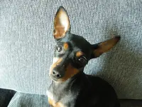 IMGP0056.webp
