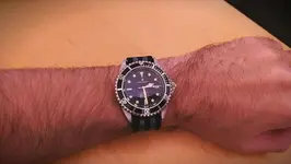 steinhart OVR.webp