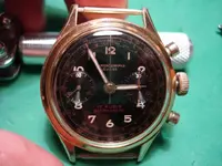 DSC01090.webp
