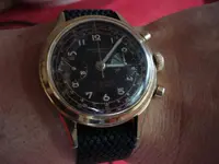 DSC01098.webp
