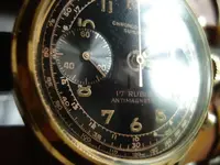 DSC01101.webp