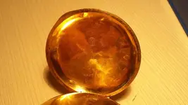20161006_192525.webp