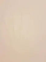 IMG-20160909-WA0034.webp