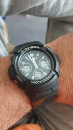 16842310157328835996378329445923.webp