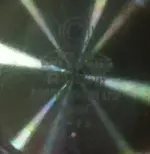 14446207_10154520364354919_7379418065165769903_n (2).webp