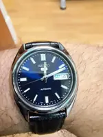 seiko 5.webp