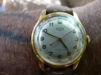 CYMA TRIPLEX B.webp
