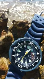 seiko tuna.webp