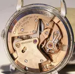 omega-bumper 032.webp