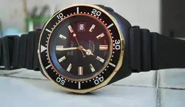 12305452_949338198483873_10540475_n.webp