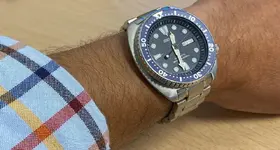 Tortuga.webp