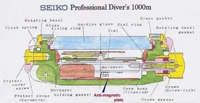 cross_section_1000.webp
