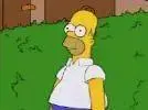 giphy.webp