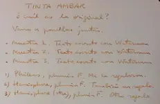 ambar.webp