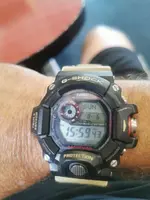 16913303763174196092277773039165.webp