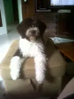 Tula 0001.webp