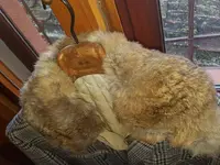 20161108_123506.webp