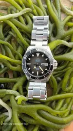 20230620_192305.webp