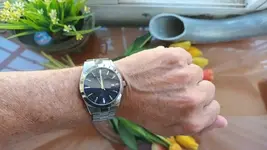 16931303779598078715866731767168.webp