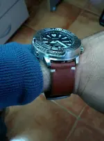 IMG_20161109_082308.webp