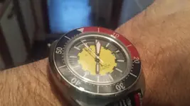 14775019510001322317319.webp