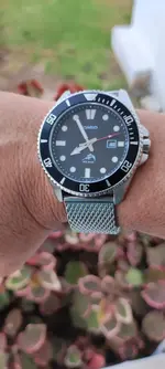 IMG_20230913_075528.webp