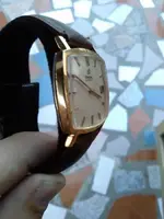 CAM00043.webp CAM00043.webp