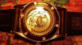 ORIS 4.webp ORIS 4.webp