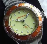 Vostok amfibia reef.webp