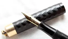 lady pen.webp