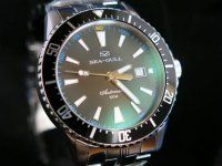 Fashionable Sea-Gull D310 black diver watch 10ATM ST2130 automatic.jpg